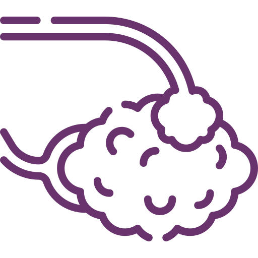 Ovaries and Fallopian Tubes